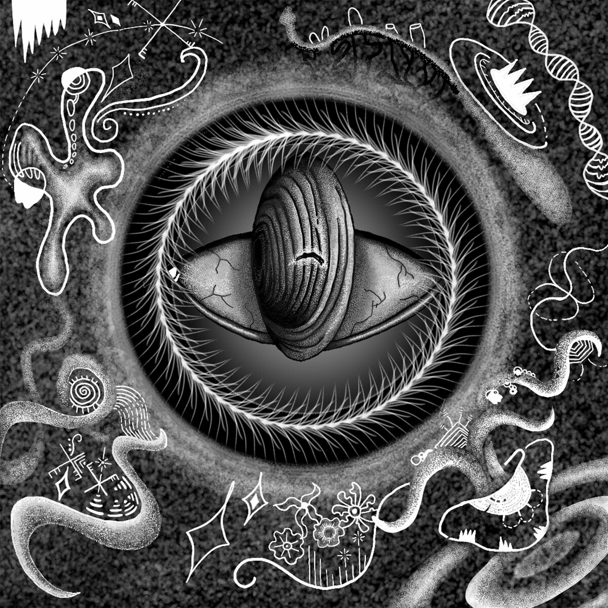 Image Cover